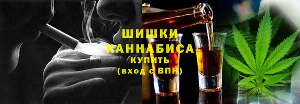 дмт Богородицк
