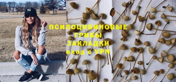 дмт Богородицк