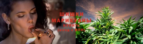 бутират Богданович