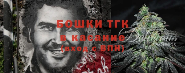 дмт Богородицк