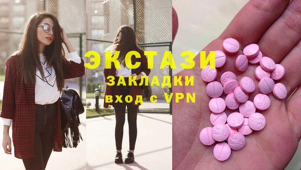 дмт Богородицк