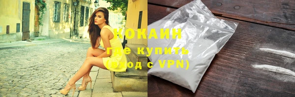 дмт Богородицк