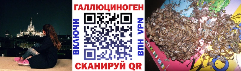 Галлюциногенные грибы Cubensis  Красновишерск 